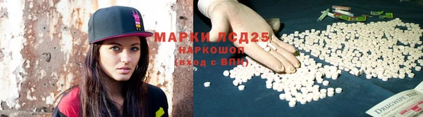 эйфоретик Вяземский
