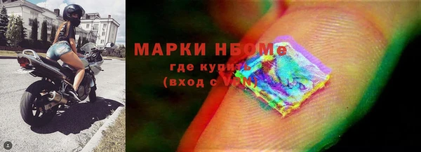 эйфоретик Вяземский
