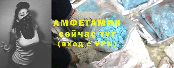 эйфоретик Вяземский