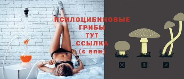 эйфоретик Вяземский