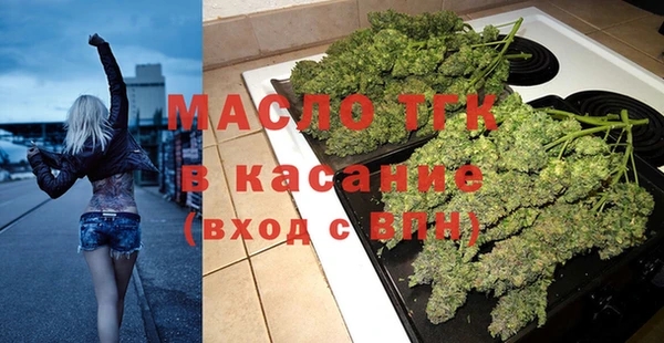 эйфоретик Вяземский