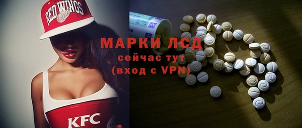 эйфоретик Вяземский