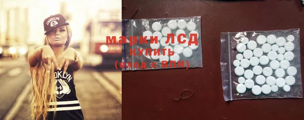ГАЛЛЮЦИНОГЕННЫЕ ГРИБЫ Вязьма