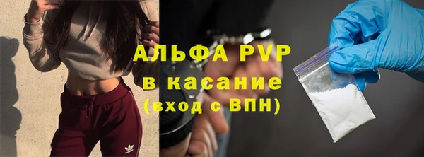 ГАЛЛЮЦИНОГЕННЫЕ ГРИБЫ Вязьма