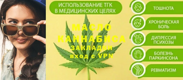 эйфоретик Вяземский